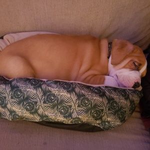 Meet your Posher, Adam